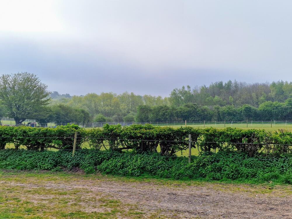20260424_074450.jpg